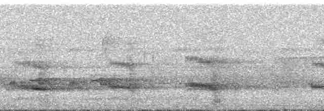 Тукан чорнодзьобий (підвид ariel) - ML22066