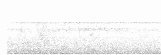 Серобокий саблеклюв - ML220682091