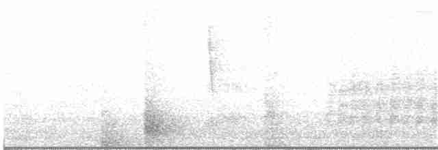 Crested Bobwhite - ML220719681