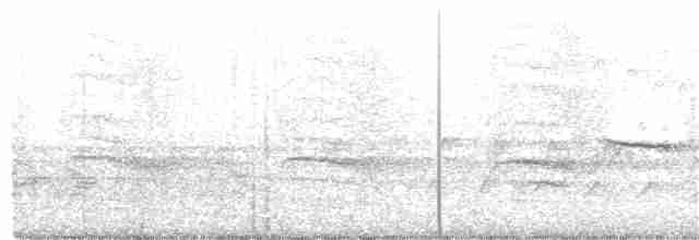 Дрізд-короткодзьоб плямистоволий - ML220760011