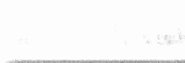 Kara Gözlü Junko (hyemalis/carolinensis) - ML220784