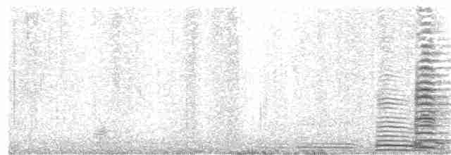 Cisne Trompetero - ML220818221