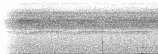 Black-capped Tinamou - ML220823
