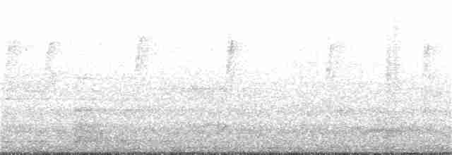 Gray-hooded Warbler - ML220829221