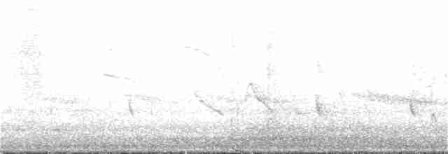 灰頭鷦鶯 - ML220829991