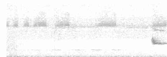 Манакін-стрибун карликовий - ML220847791