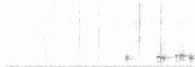 Manu Karıncakuşu - ML220851981