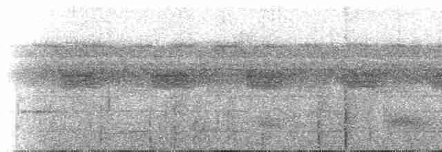 Kahverengi Tepeli Pufkuşu - ML220885