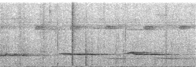 White-necked Thrush (Gray-flanked) - ML220885961