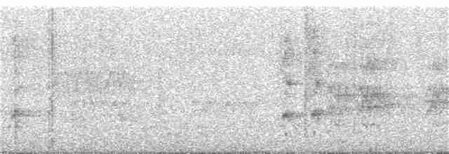 Pale-browed Tinamou - ML220957091