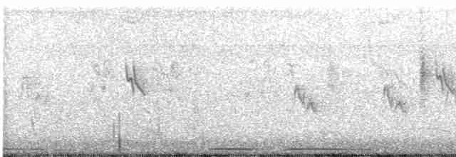 Eurasian Collared-Dove - ML221042411
