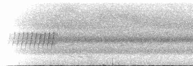 Crested Finchbill - ML221097