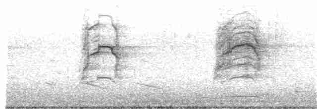 kakadu hnědohlavý - ML221154971