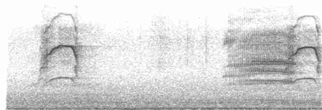 kakadu hnědohlavý - ML221154981
