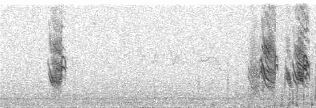 Black-winged Snowfinch - ML221158811