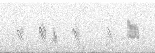 Black-winged Snowfinch - ML221165911