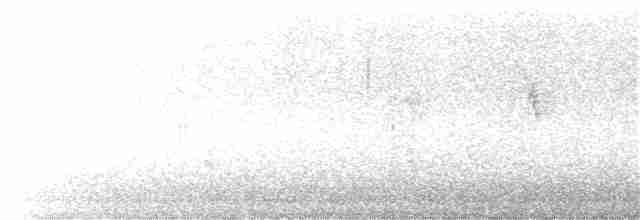 Белая трясогузка (alba/dukhunensis) - ML221255401