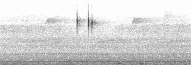 Горихвістка синьолоба - ML221302171