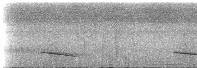 Slaty-capped Shrike-Vireo (Slaty-capped) - ML221308