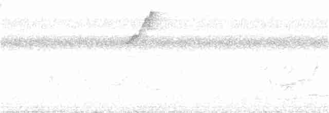 Тапіранга білодзьоба - ML221322331