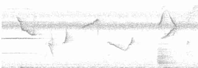 Тапіранга білодзьоба - ML221322501
