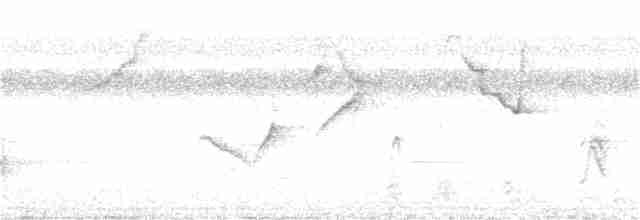 Тапіранга білодзьоба - ML221322741