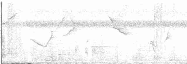 Тапіранга білодзьоба - ML221323281