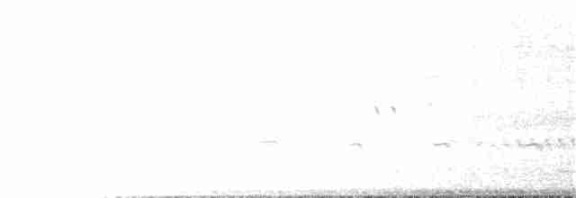 Тачурі-сірочуб темногорлий - ML221336341