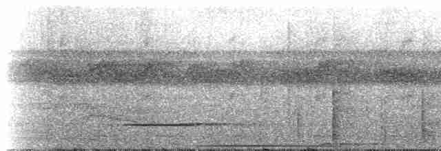 Cinereous Tinamou - ML221342