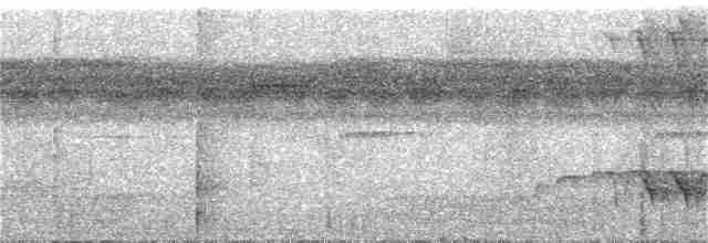amazonvatretreløper (certhia) - ML221351401