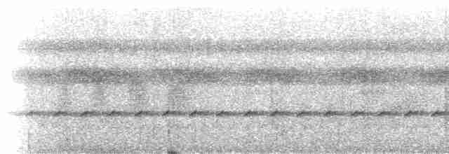 Uzun Taçlı Tiran - ML221352