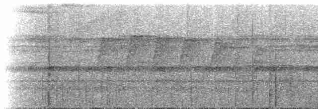 Grisin sombre (saturatior/vicina) - ML221360