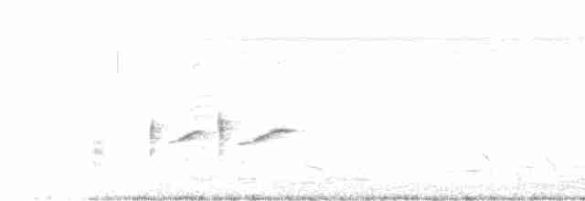 Australian Reed Warbler - ML221360811