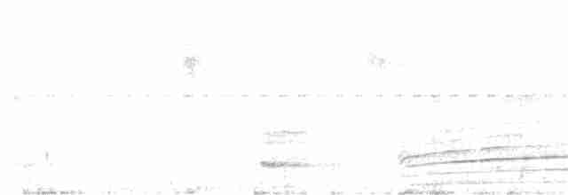 Gray-headed Kite - ML221381691