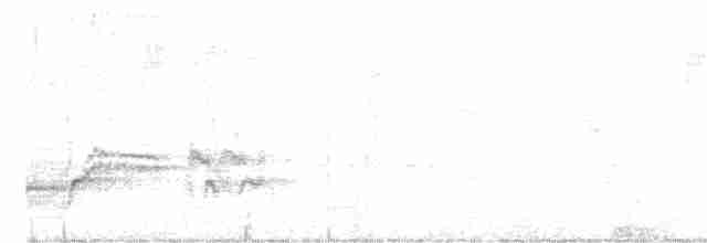 オーストラリアトラツグミ - ML221428121