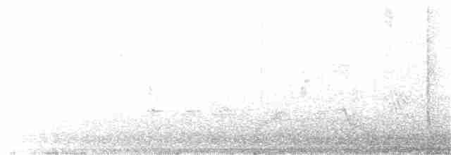 Common Kingfisher - ML221448391