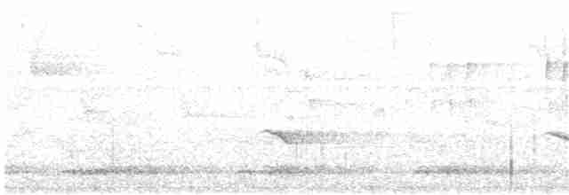 Rusty-tailed Flycatcher - ML22146451