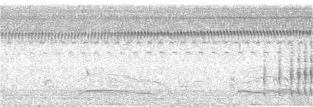 Желтогорлая пищуховая иглохвостка - ML221510471