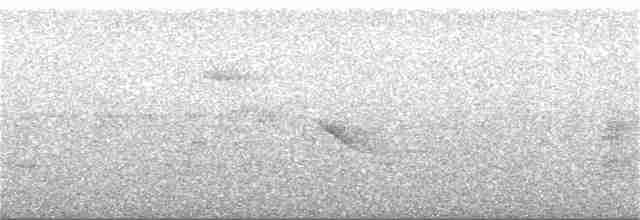 Gray-headed Kite - ML221514881