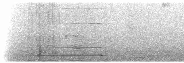 gråhodebuskvarsler - ML221550