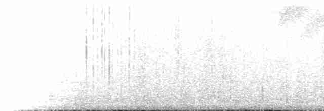Gray-headed Warbler - ML221592