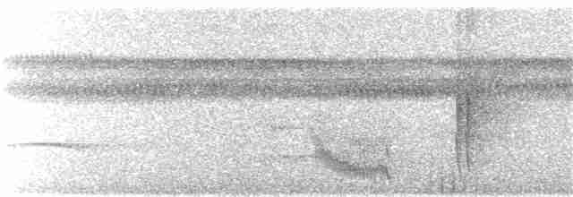 Fourmilier à gorge rousse - ML221602841