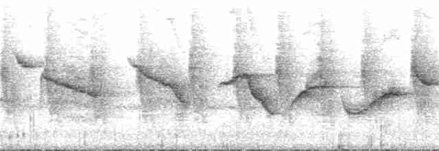 Gray-headed Warbler - ML221603