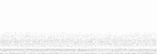 Bruant fauve (groupe schistacea) - ML221627851