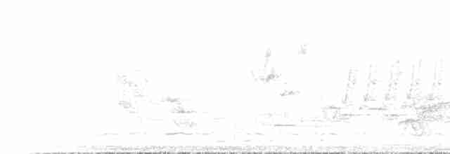 Büyük Kiskadi Tiranı - ML221638