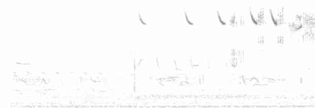 Саванная овсянка [группа sandwichensis] - ML221647661