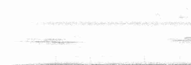 Schwarzflecken-Todityrann - ML221690