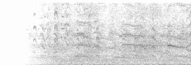 Common Tern - ML221690601