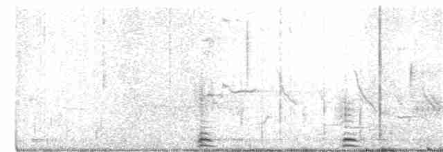 Cisne Trompetero - ML221736341