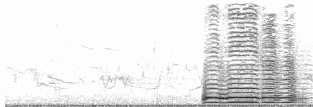 Cisne Trompetero - ML221736361